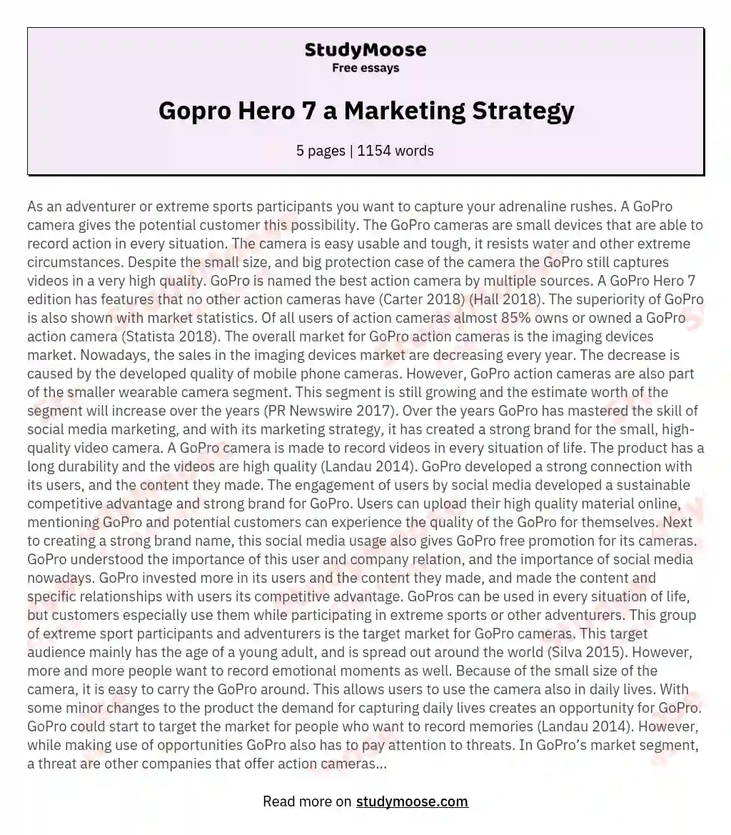 Gopro Hero 7 a Marketing Strategy essay
