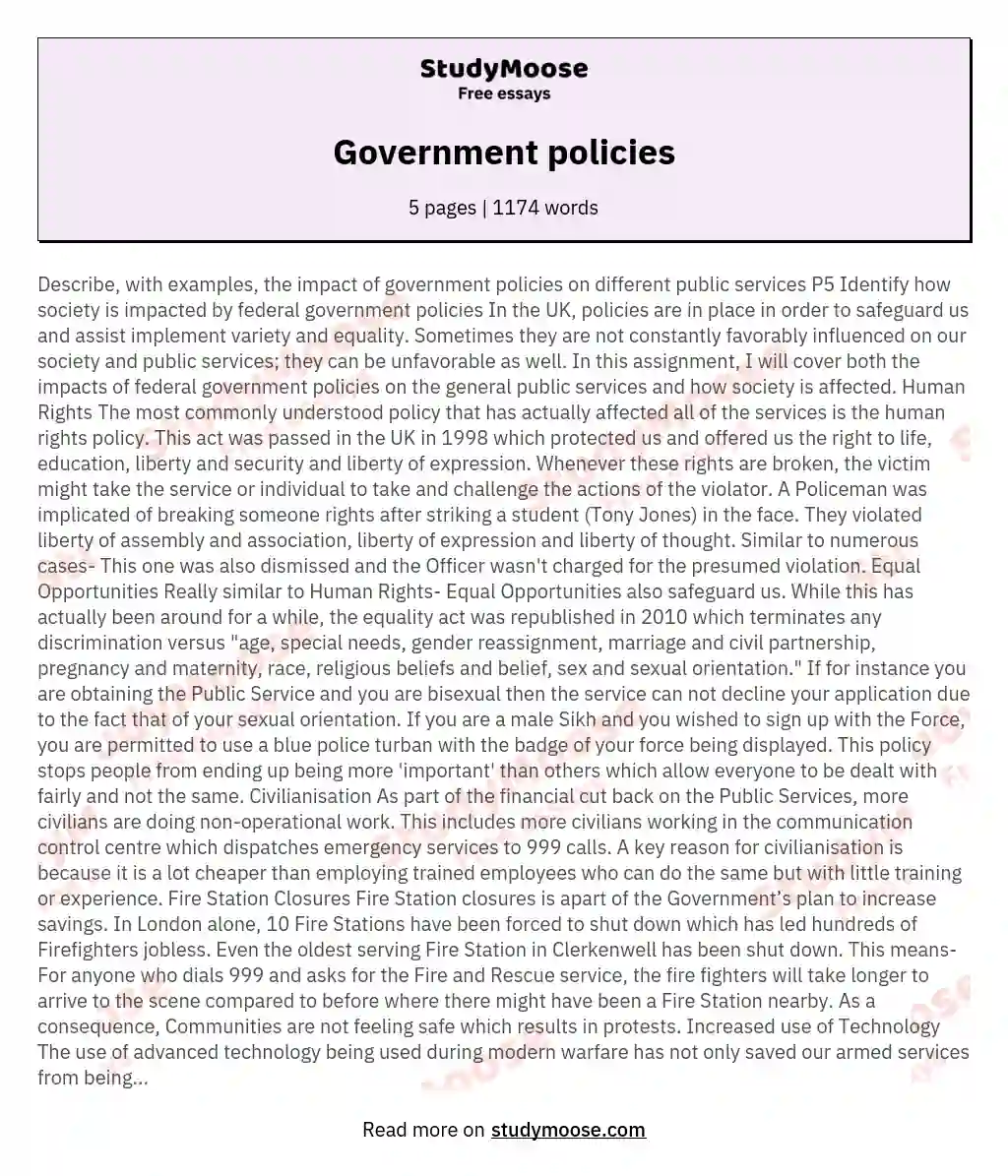 Government policies essay