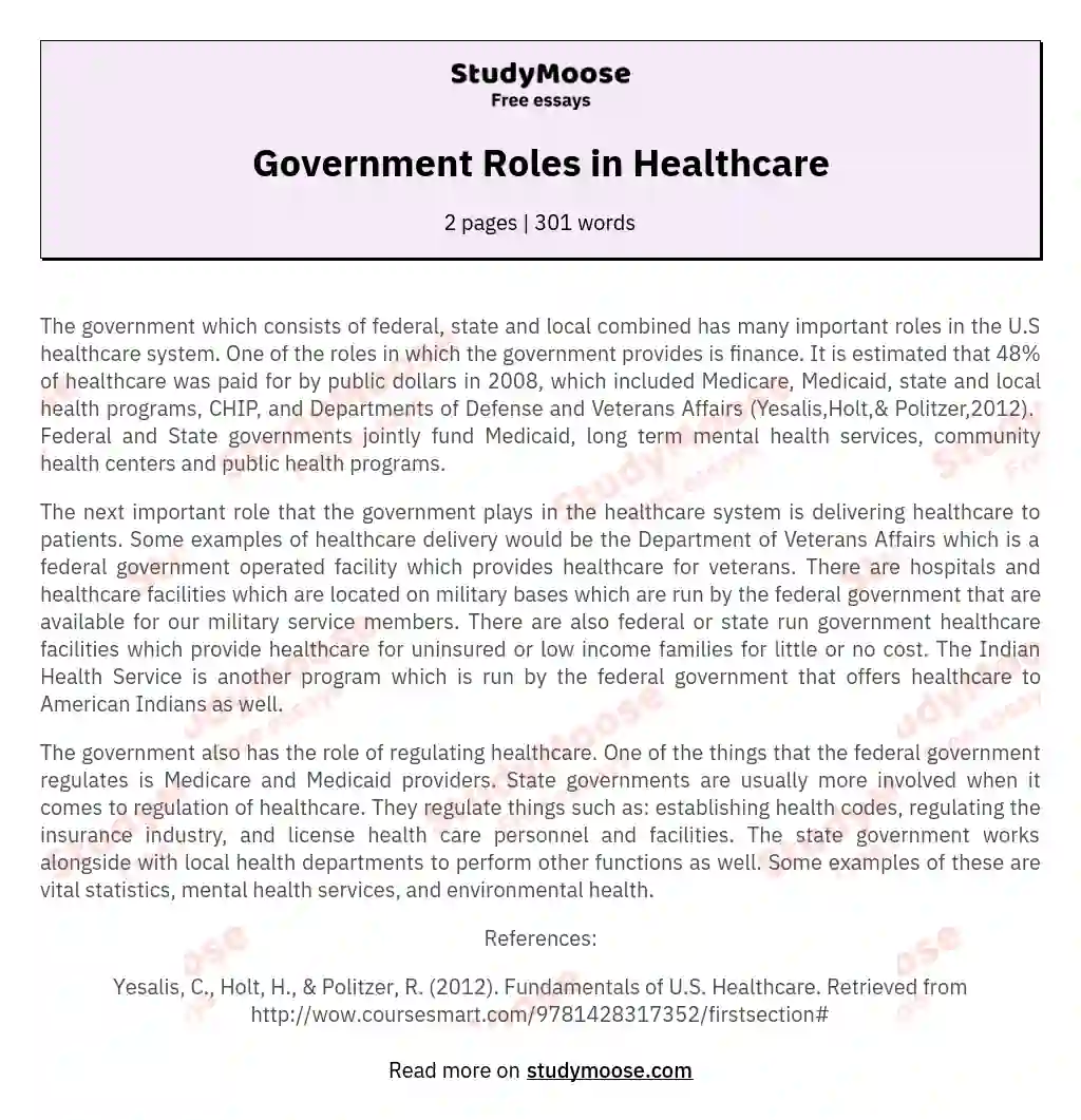 Government Roles in Healthcare essay