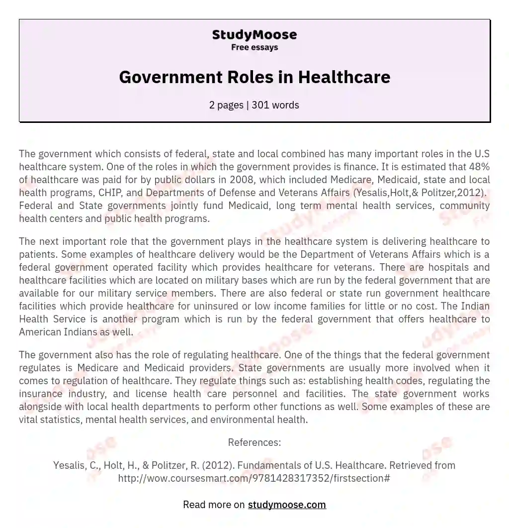 government-roles-in-healthcare-free-essay-example