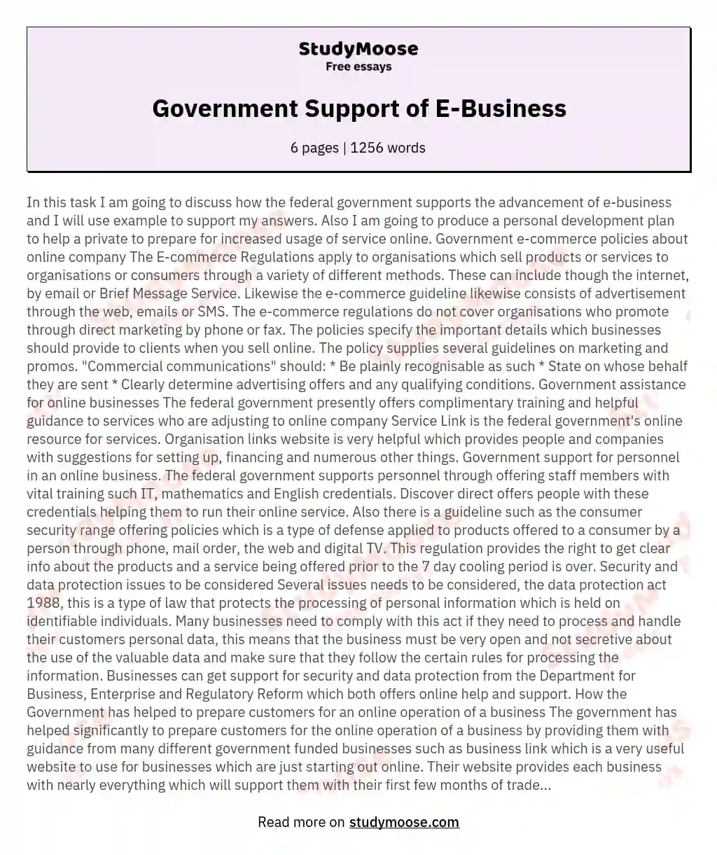 Government Support of E-Business essay