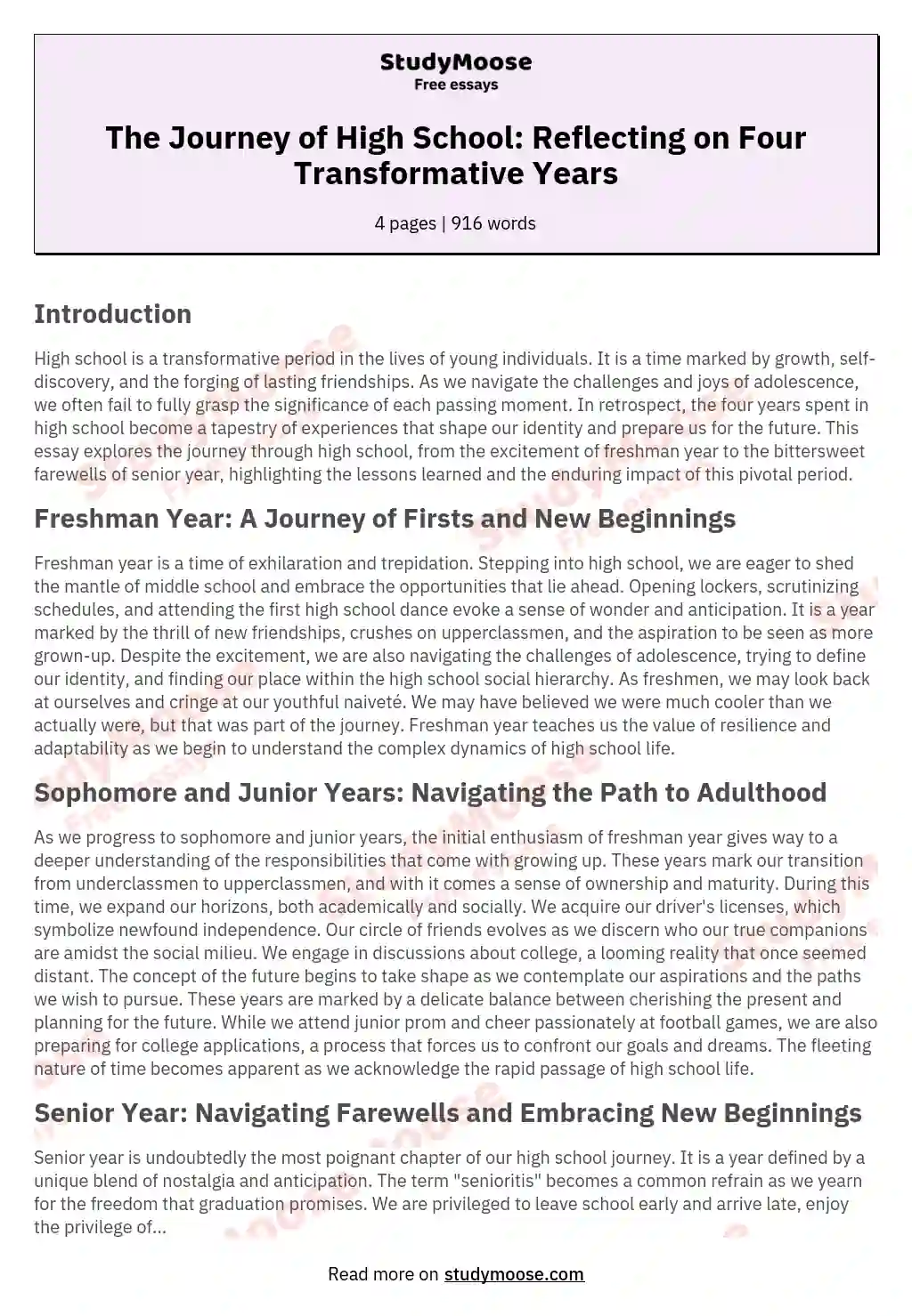 The Journey of High School: Reflecting on Four Transformative Years essay