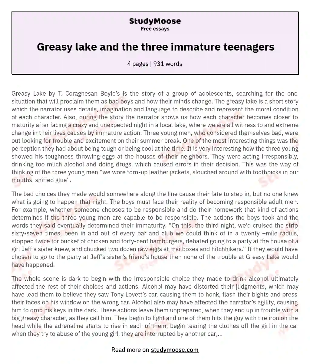 Greasy lake and the three immature teenagers essay