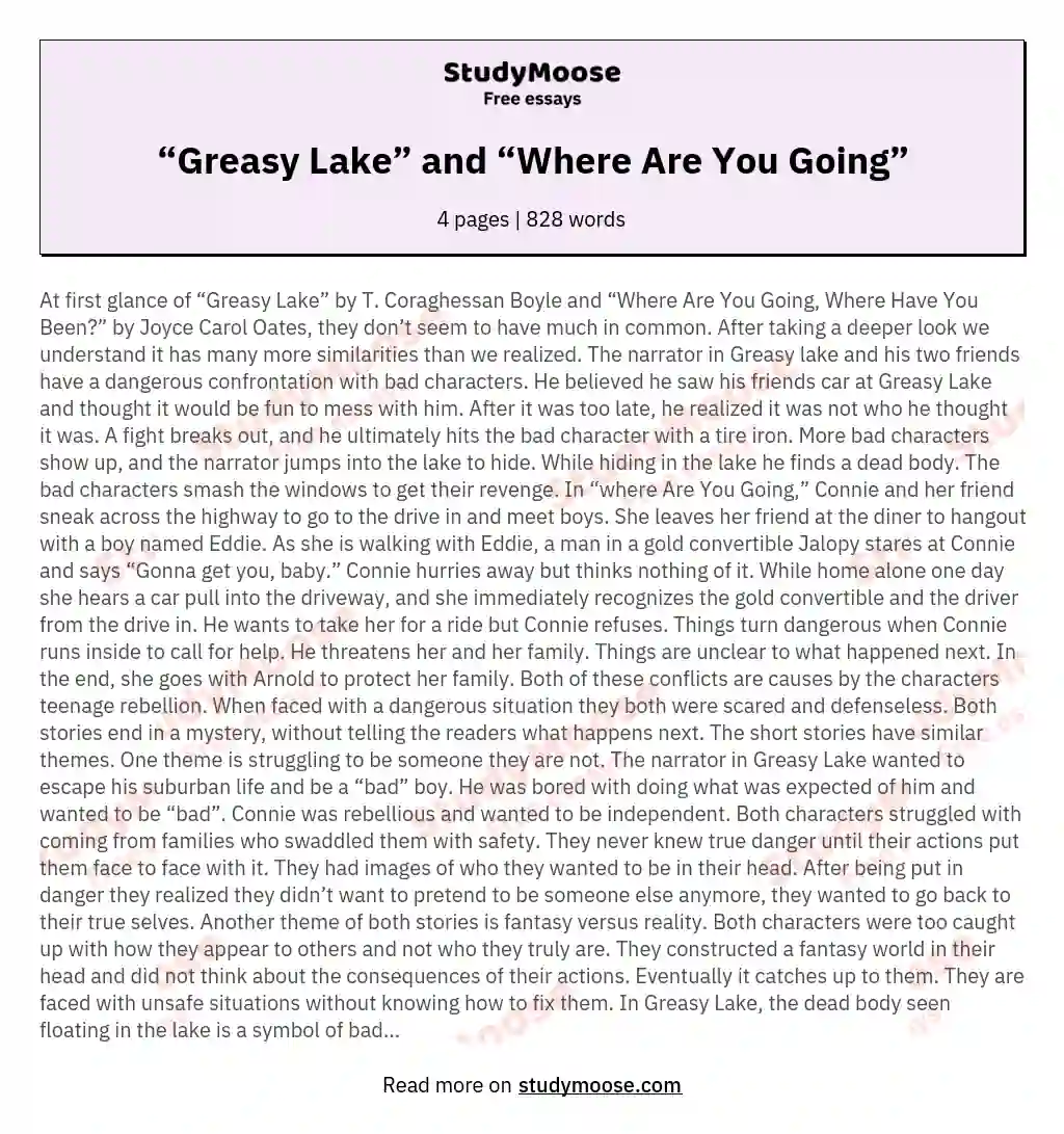 “Greasy Lake” and “Where Are You Going” essay