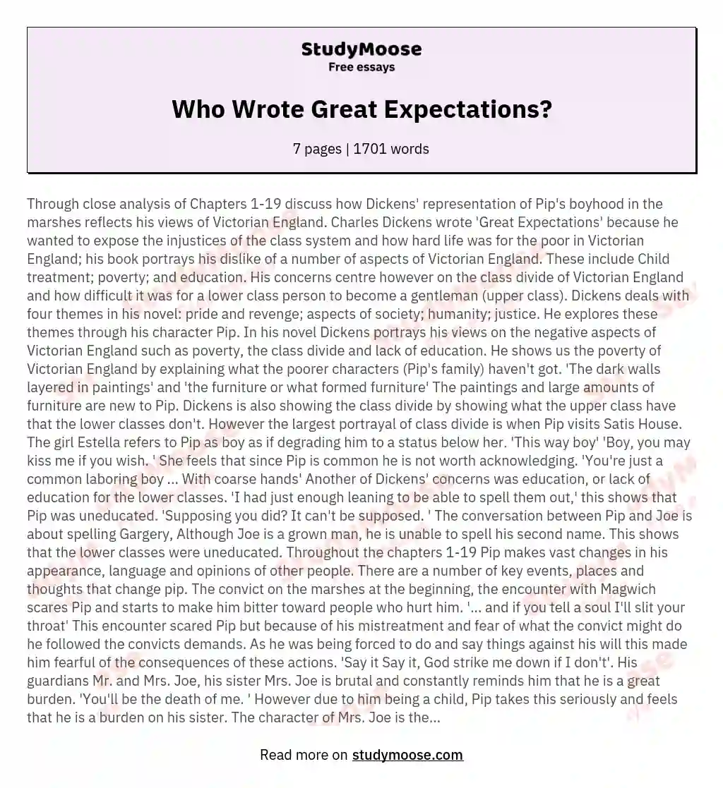 Who Wrote Great Expectations? essay