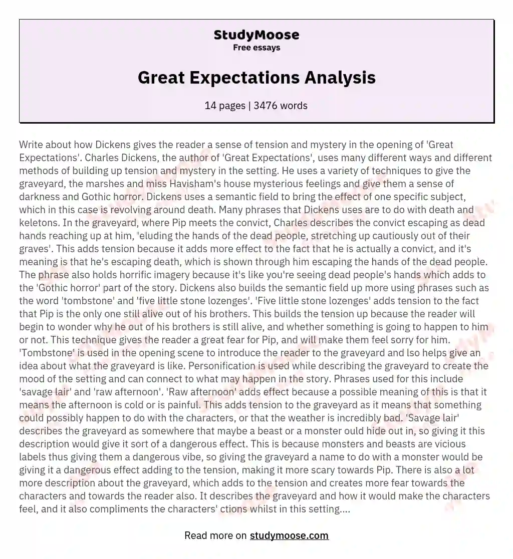 Great Expectations Analysis Free Essay Example