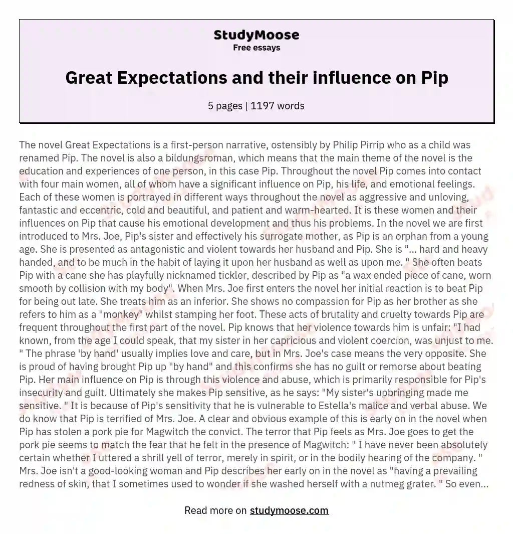 Great Expectations and their influence on Pip essay