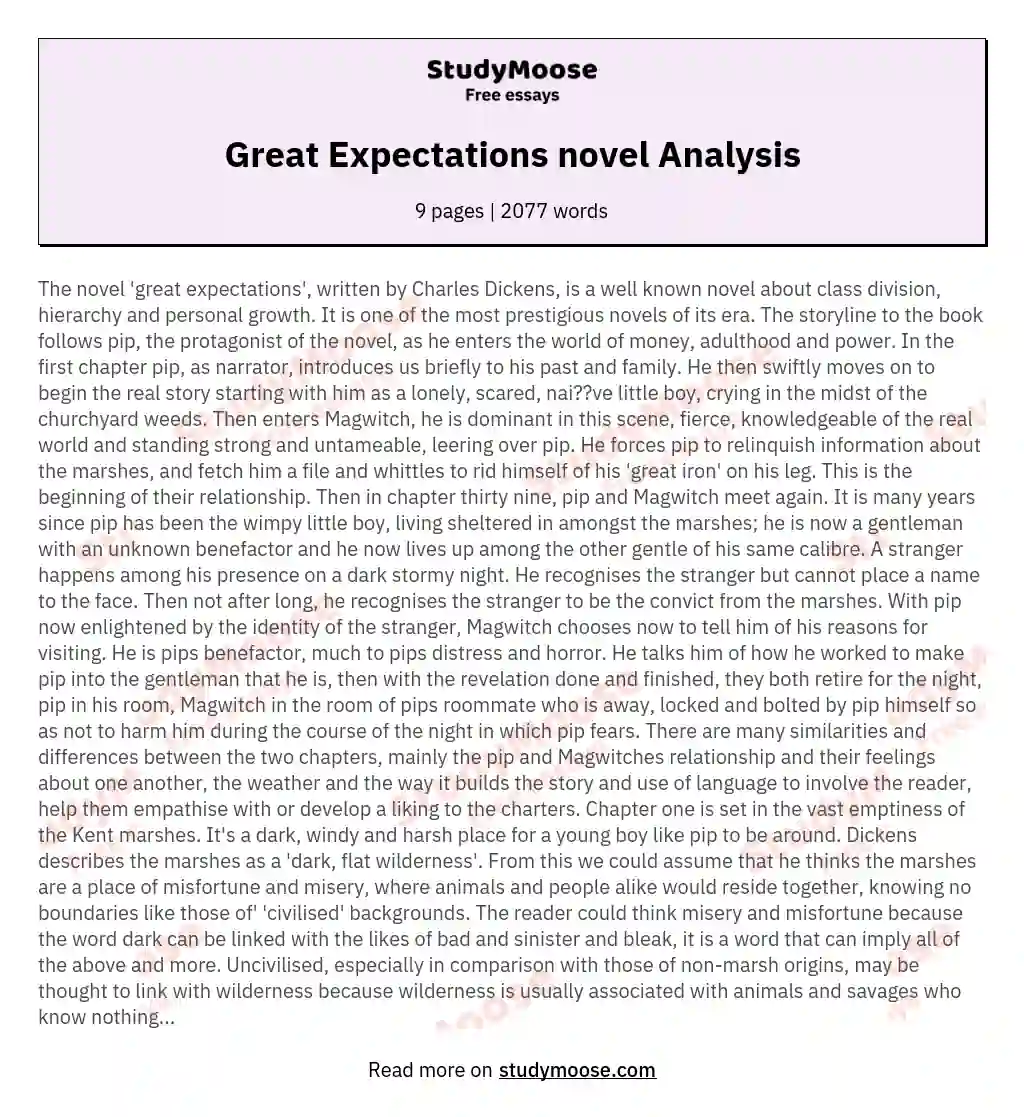 Great Expectations novel Analysis essay