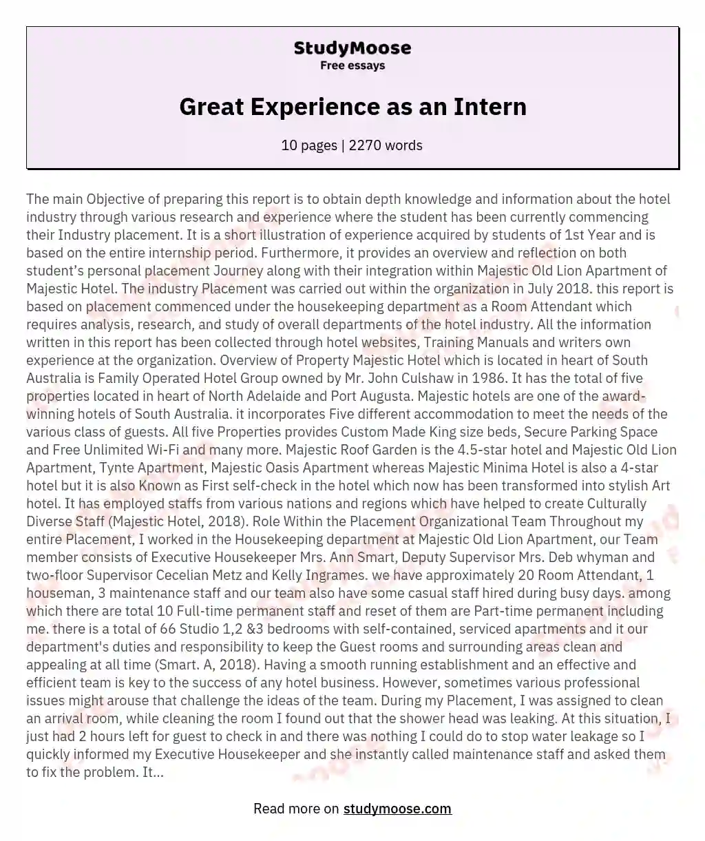 Great Experience as an Intern essay