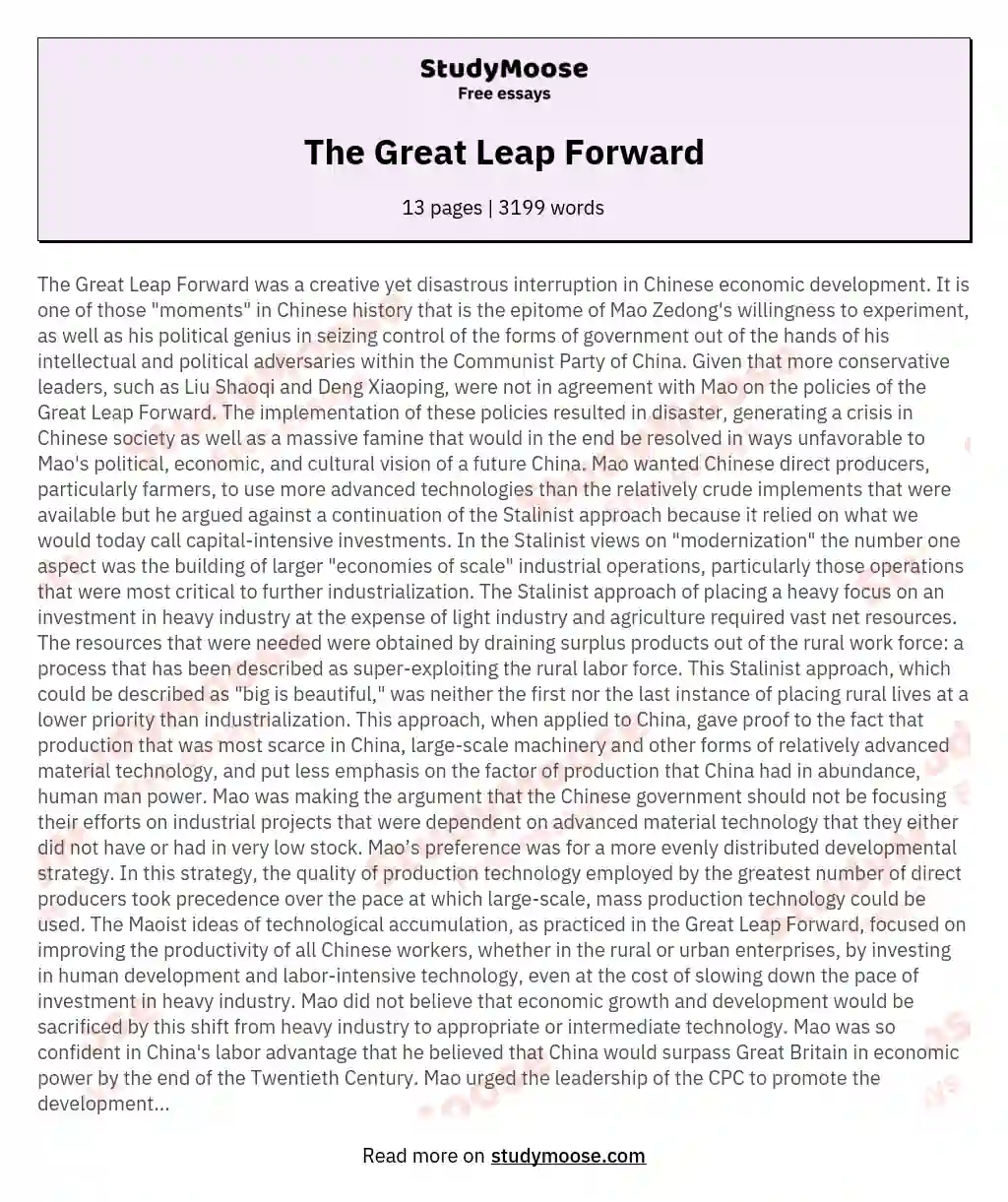 The Great Leap Forward essay