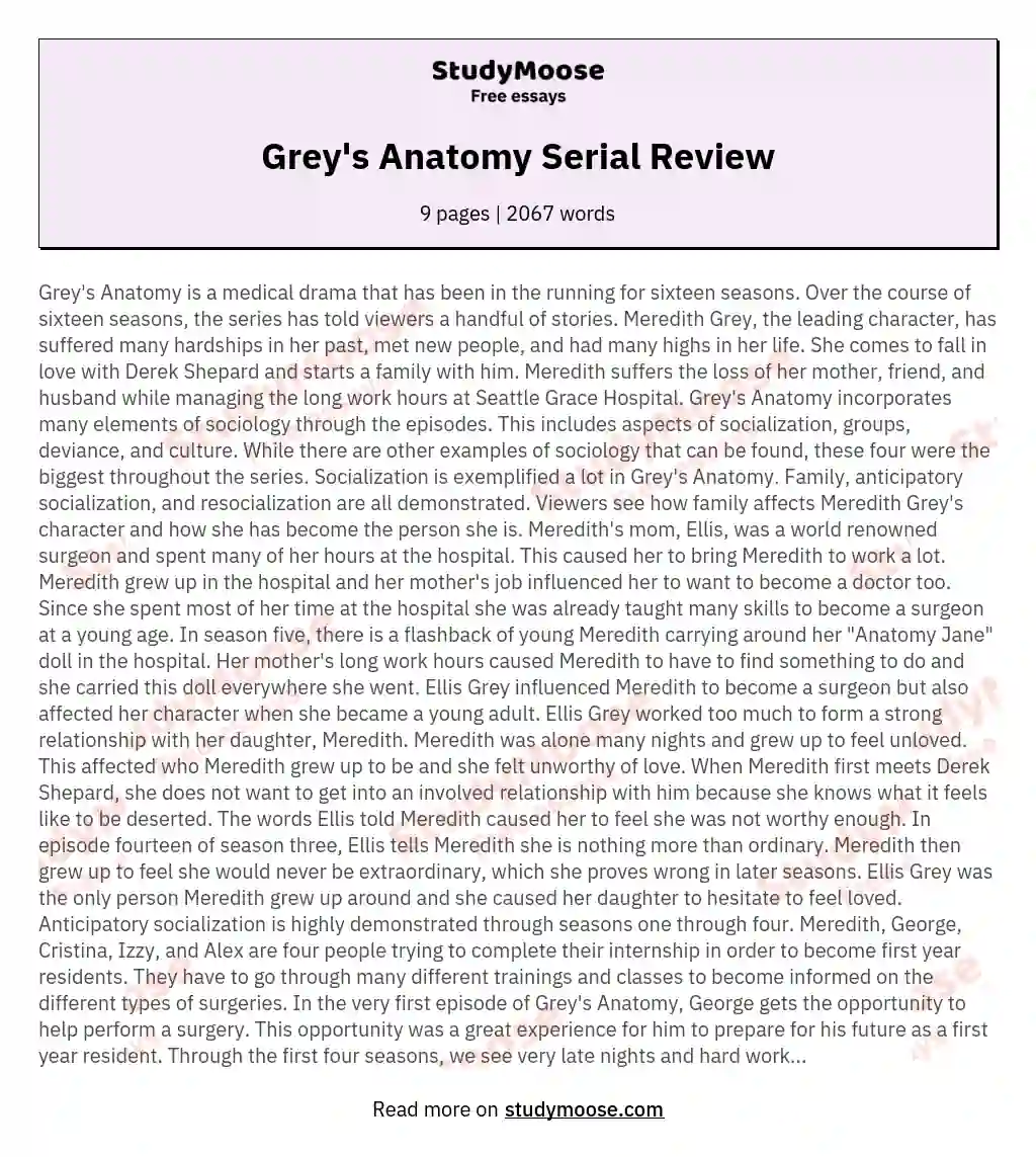 Grey's Anatomy Serial Review essay