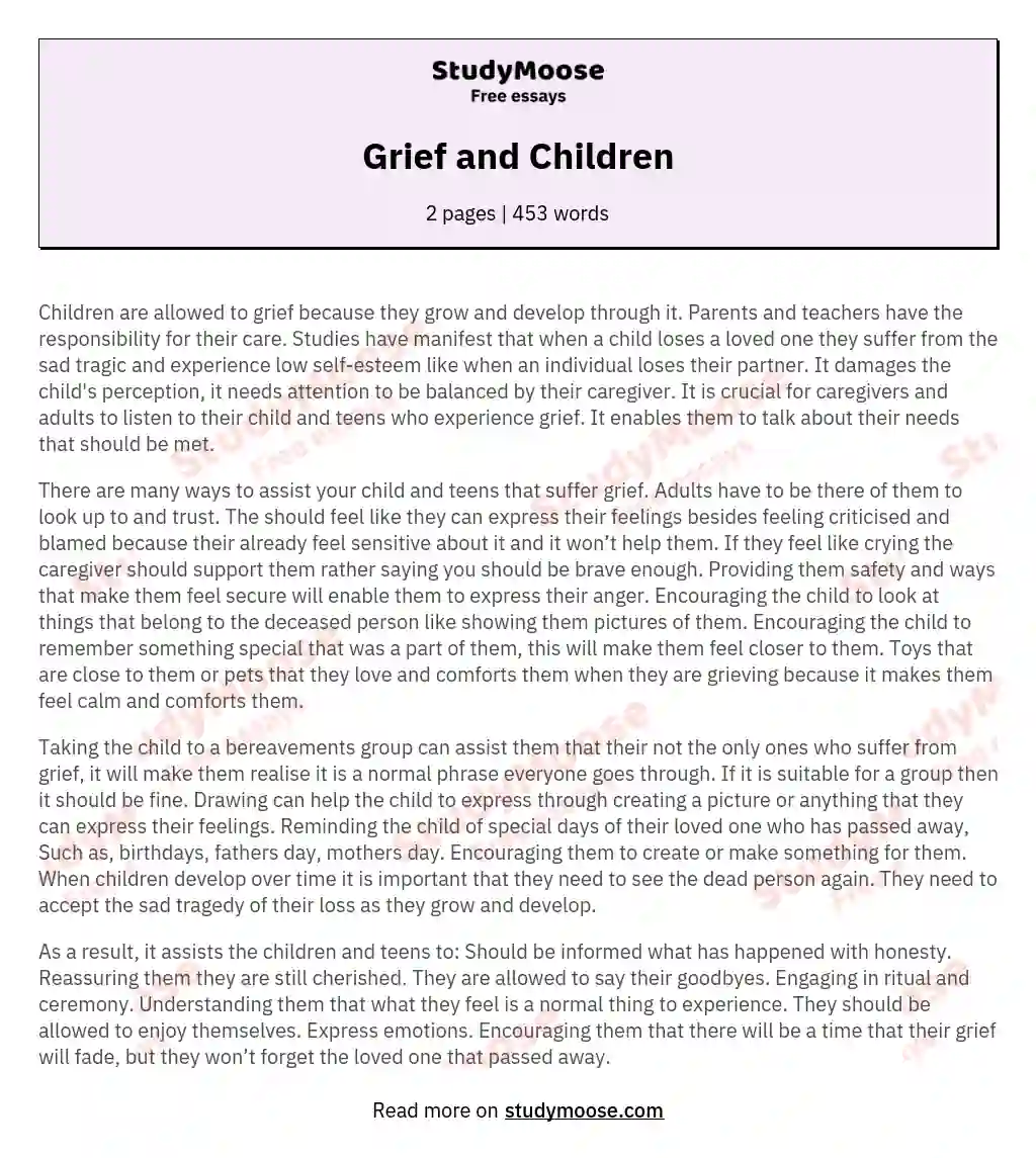 Grief and Children essay