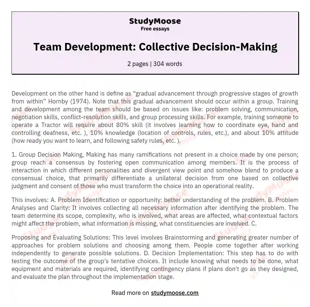 Team Development: Collective Decision-Making essay