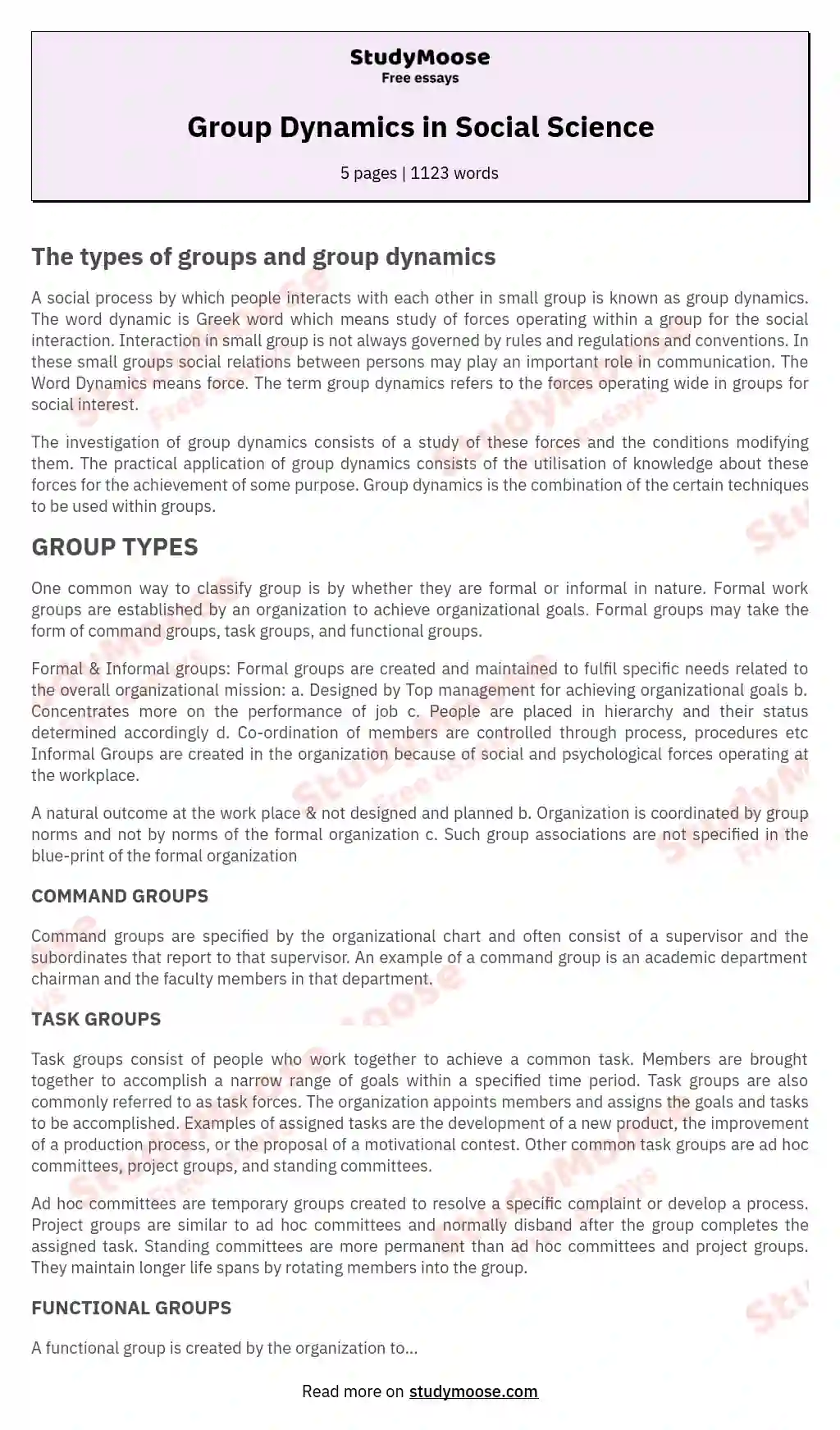 Group Dynamics in Social Science essay