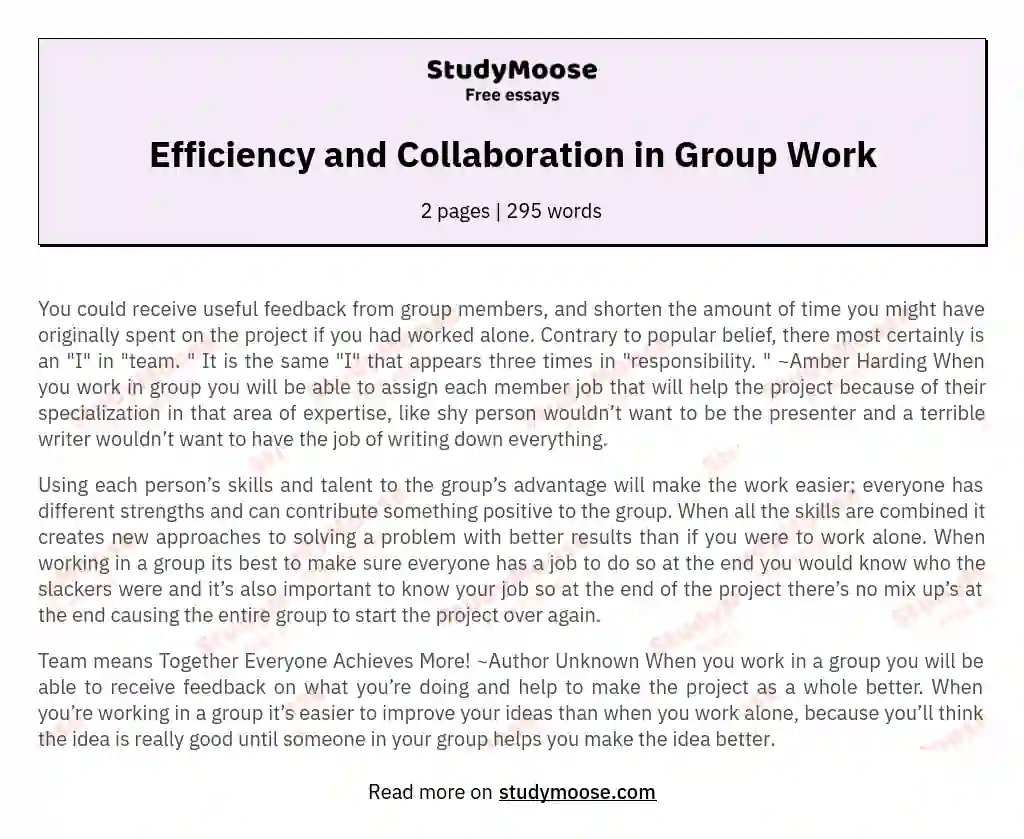 Efficiency and Collaboration in Group Work essay