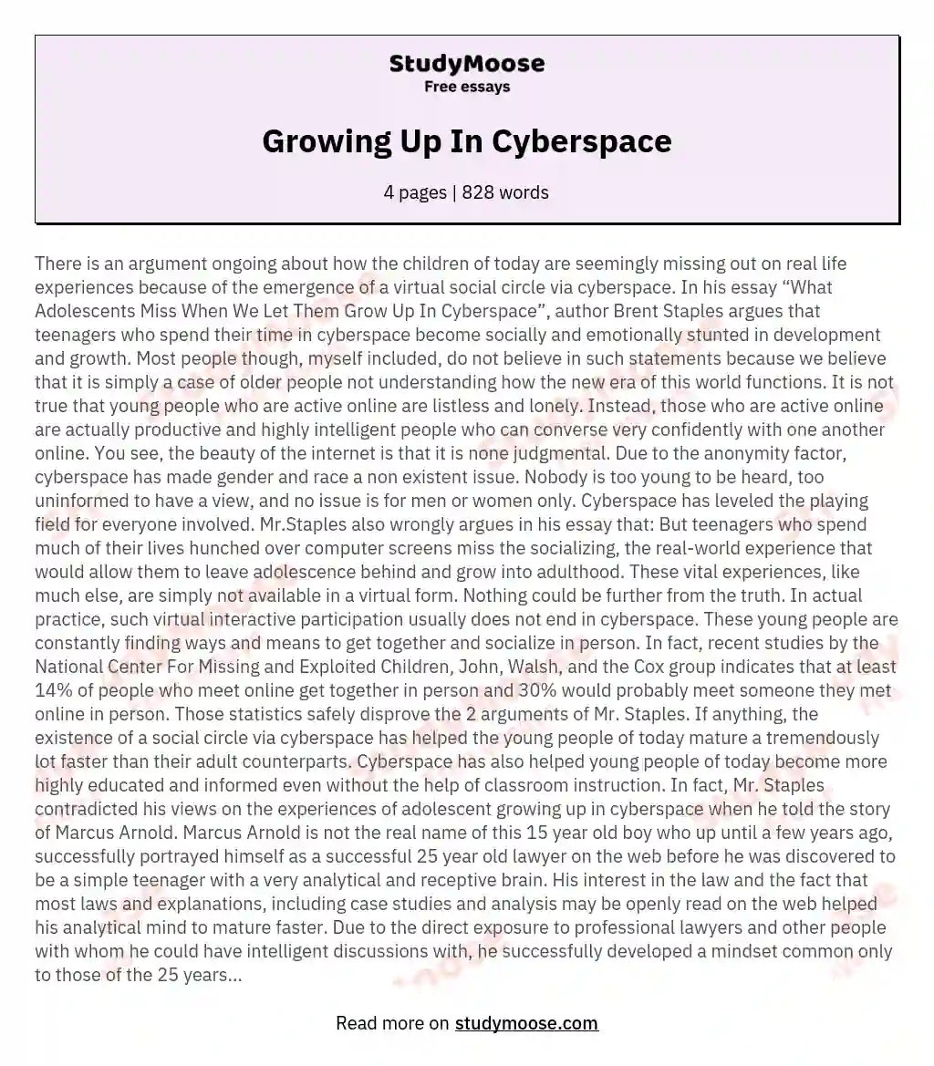 Growing Up In Cyberspace essay