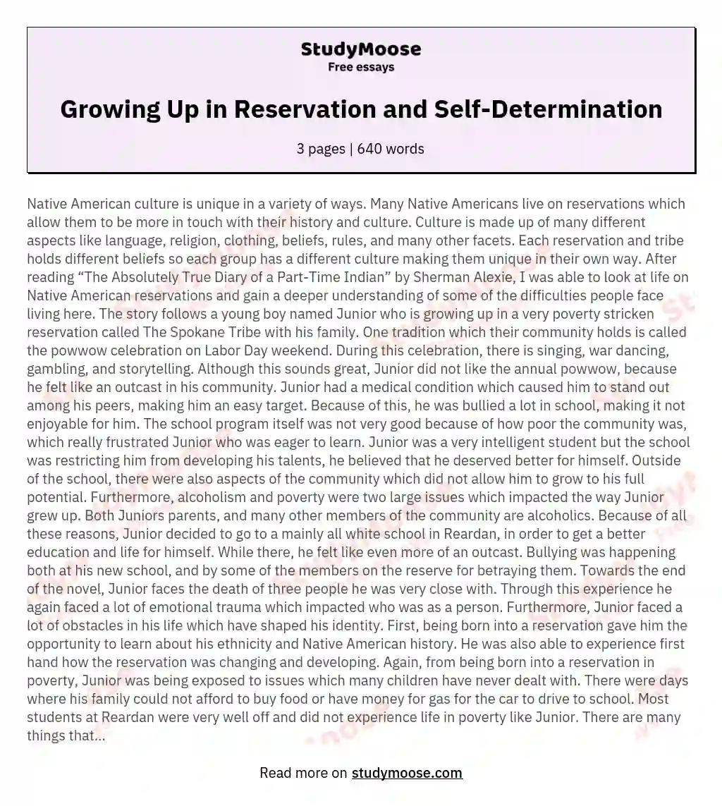 Growing Up in Reservation and Self-Determination essay