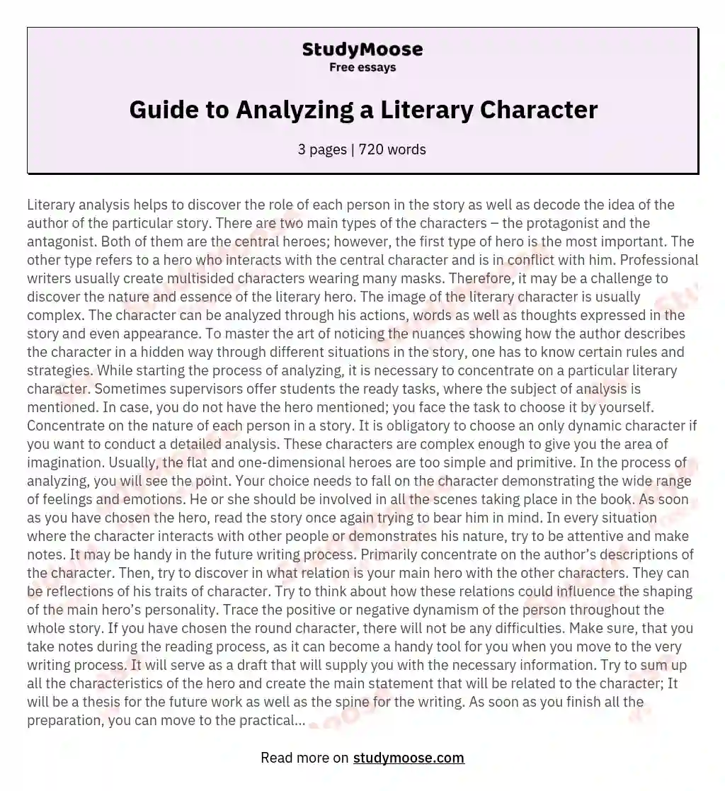 literary essay about a character
