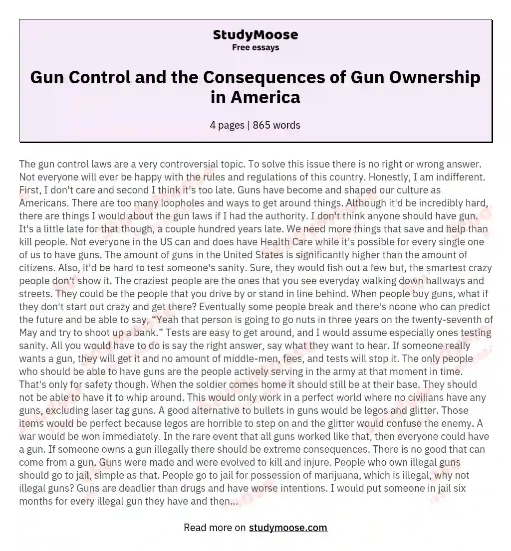 Gun Control and the Consequences of Gun Ownership in America essay