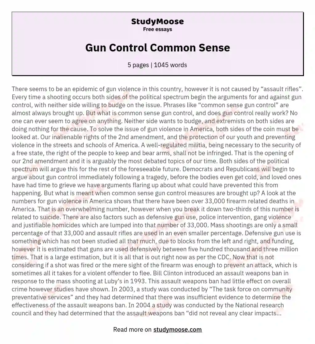 Gun Control Common Sense essay