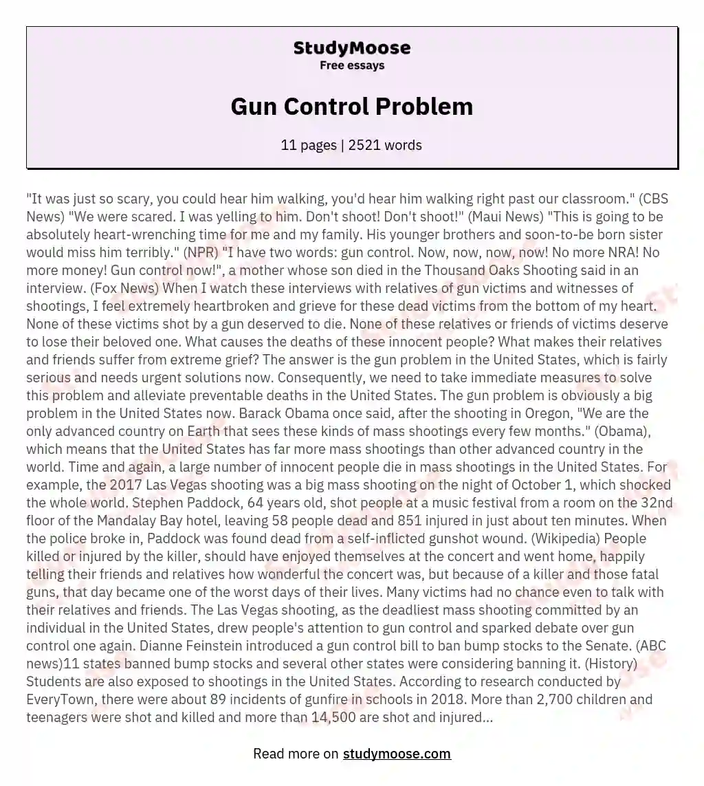 Gun Control Problem