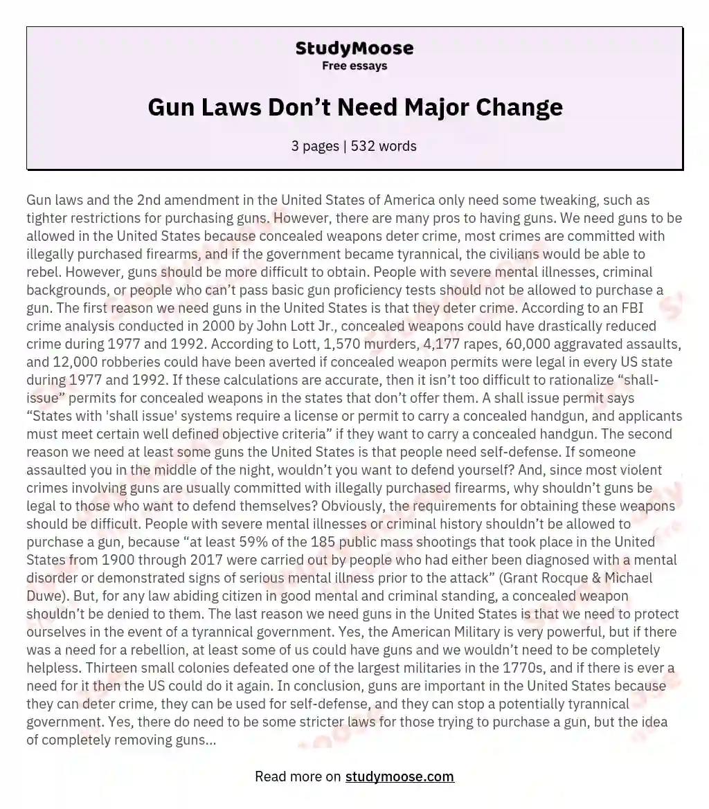 Gun Laws Don’t Need Major Change essay