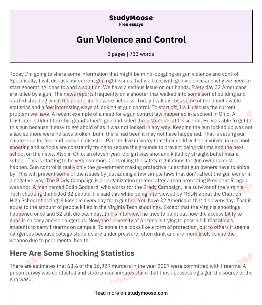 gun control essay 400 words