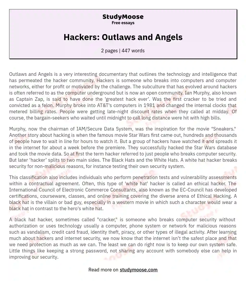Hackers: Outlaws and Angels essay