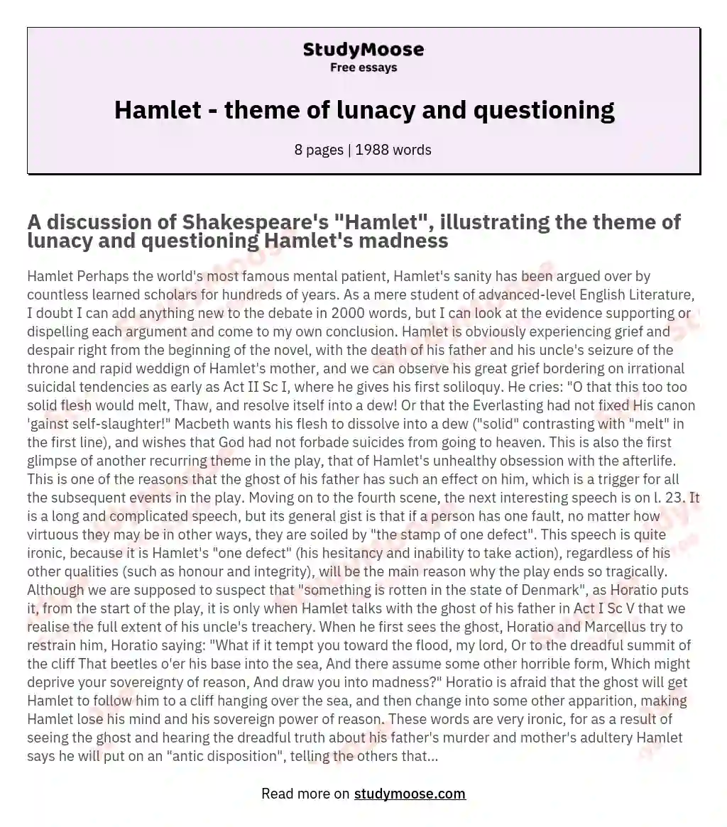 Hamlet - theme of lunacy and questioning essay