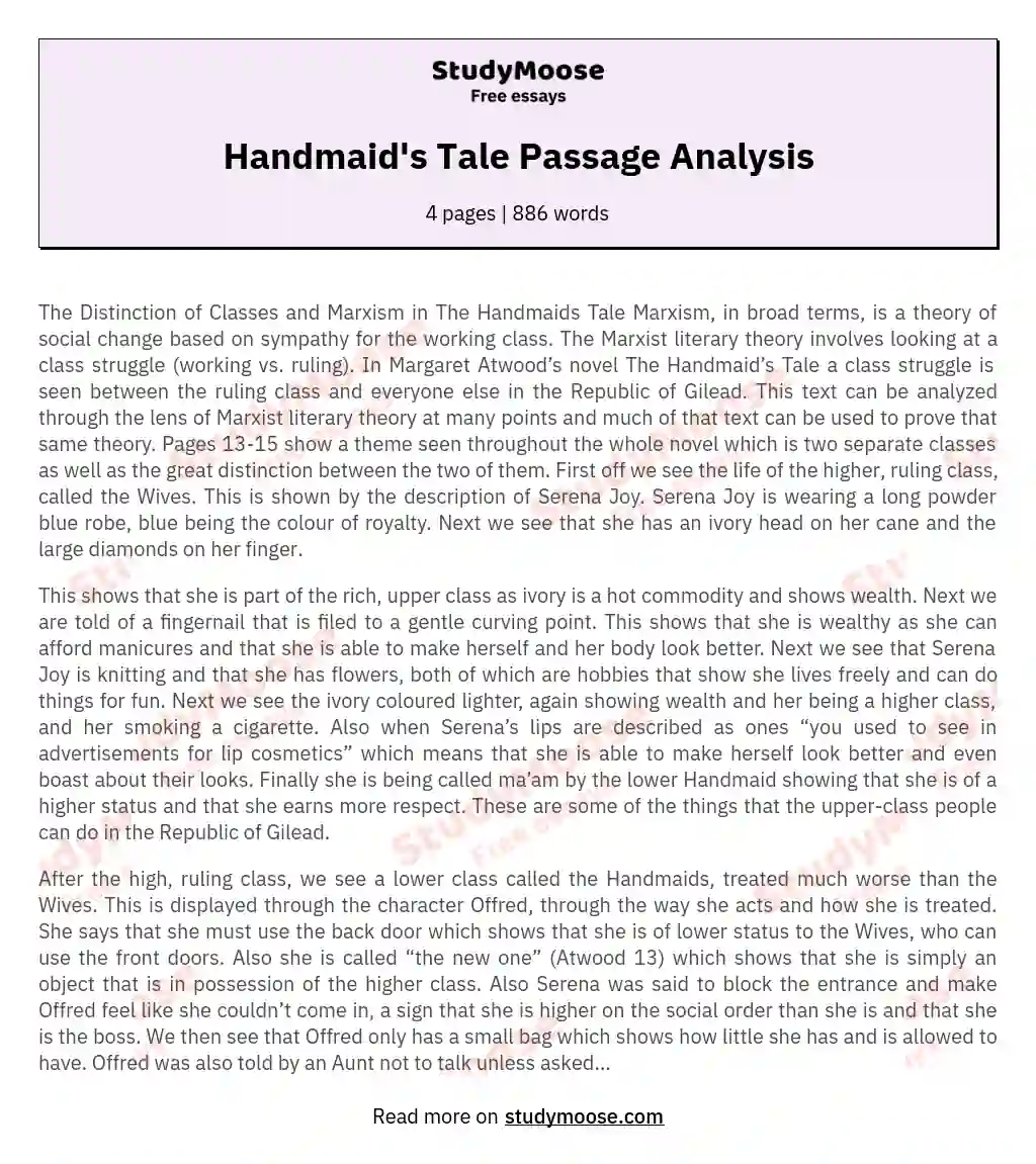 Handmaid's Tale Passage Analysis