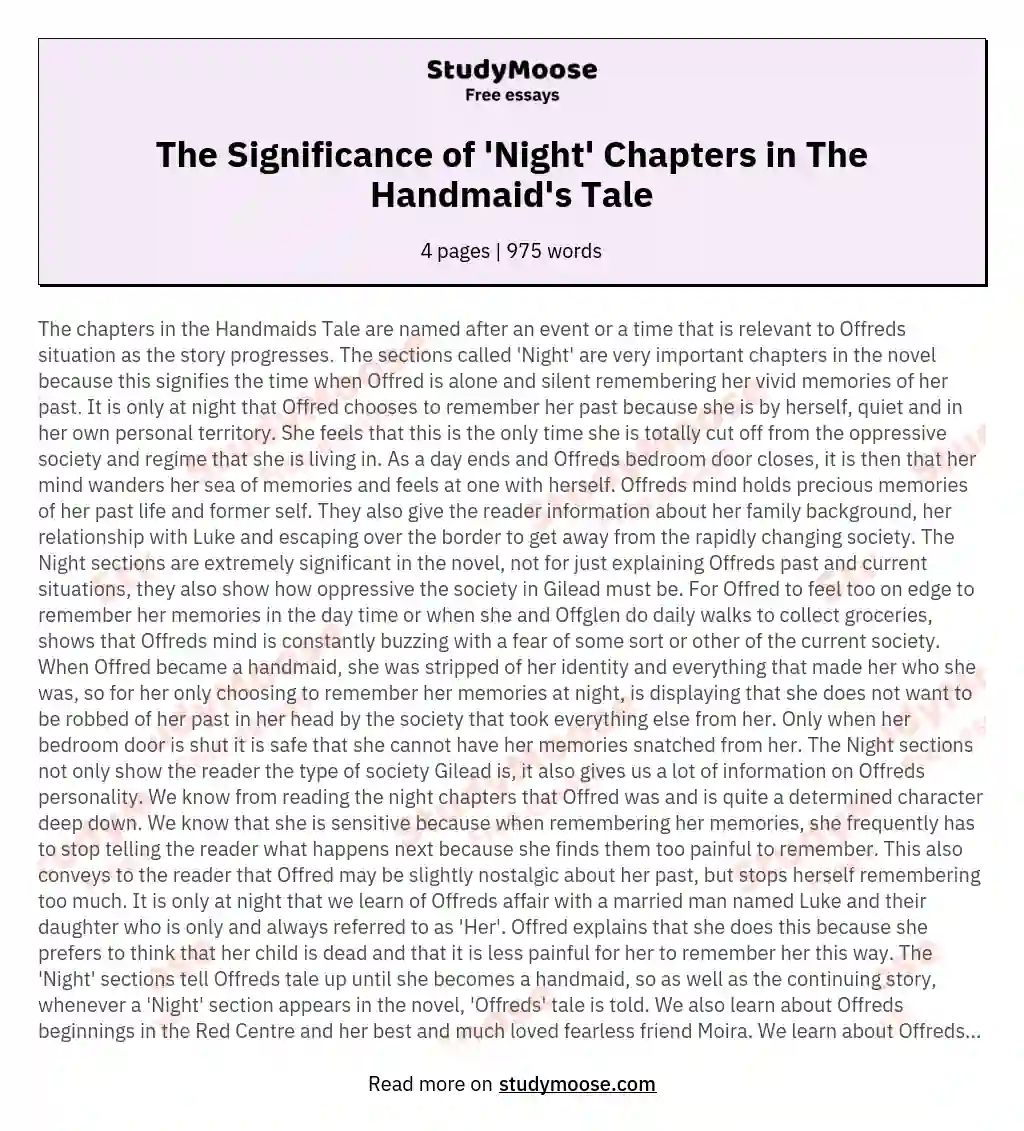 The Significance of 'Night' Chapters in The Handmaid's Tale essay