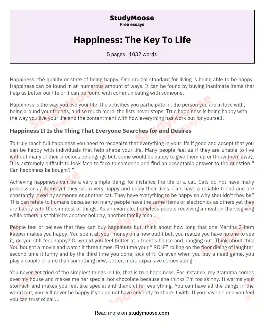 Happiness: The Key To Life essay