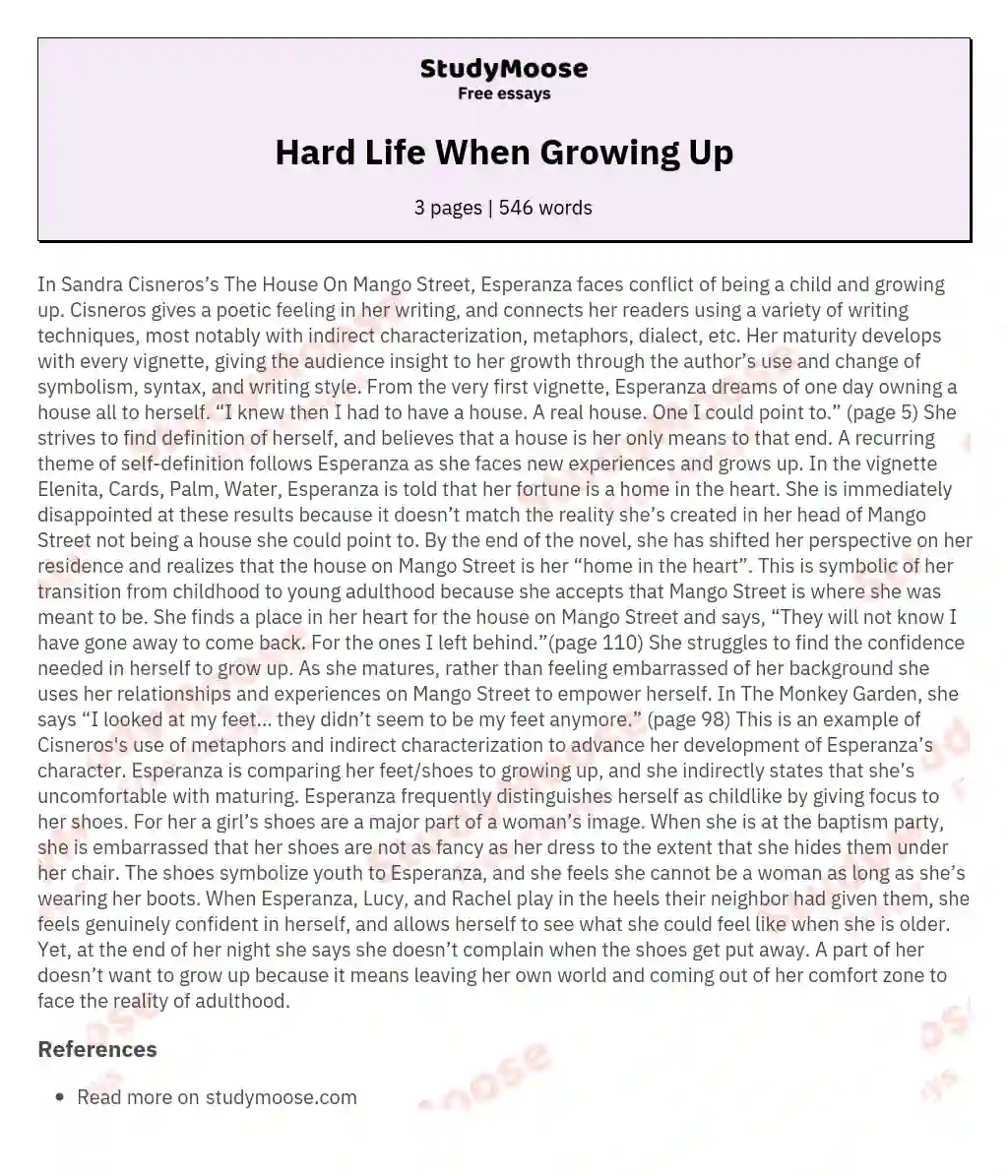Hard Life When Growing Up essay