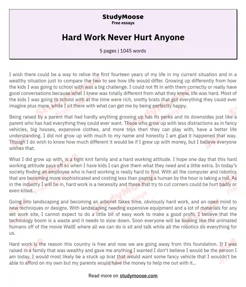 Hard Work Never Hurt Anyone essay