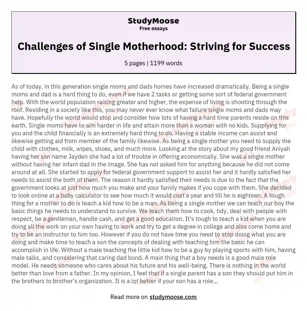 Challenges of Single Motherhood: Striving for Success essay