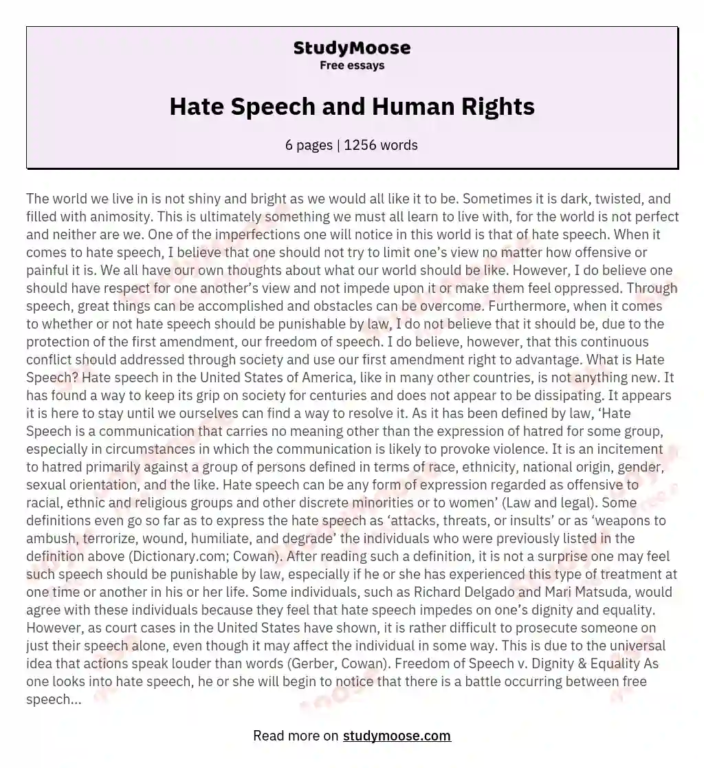 Hate Speech and Human Rights essay