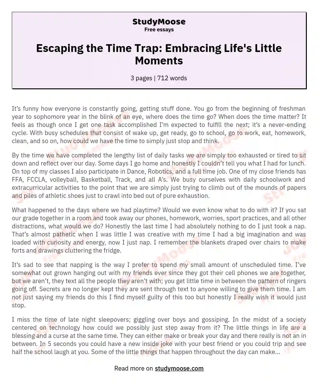 Escaping the Time Trap: Embracing Life's Little Moments essay