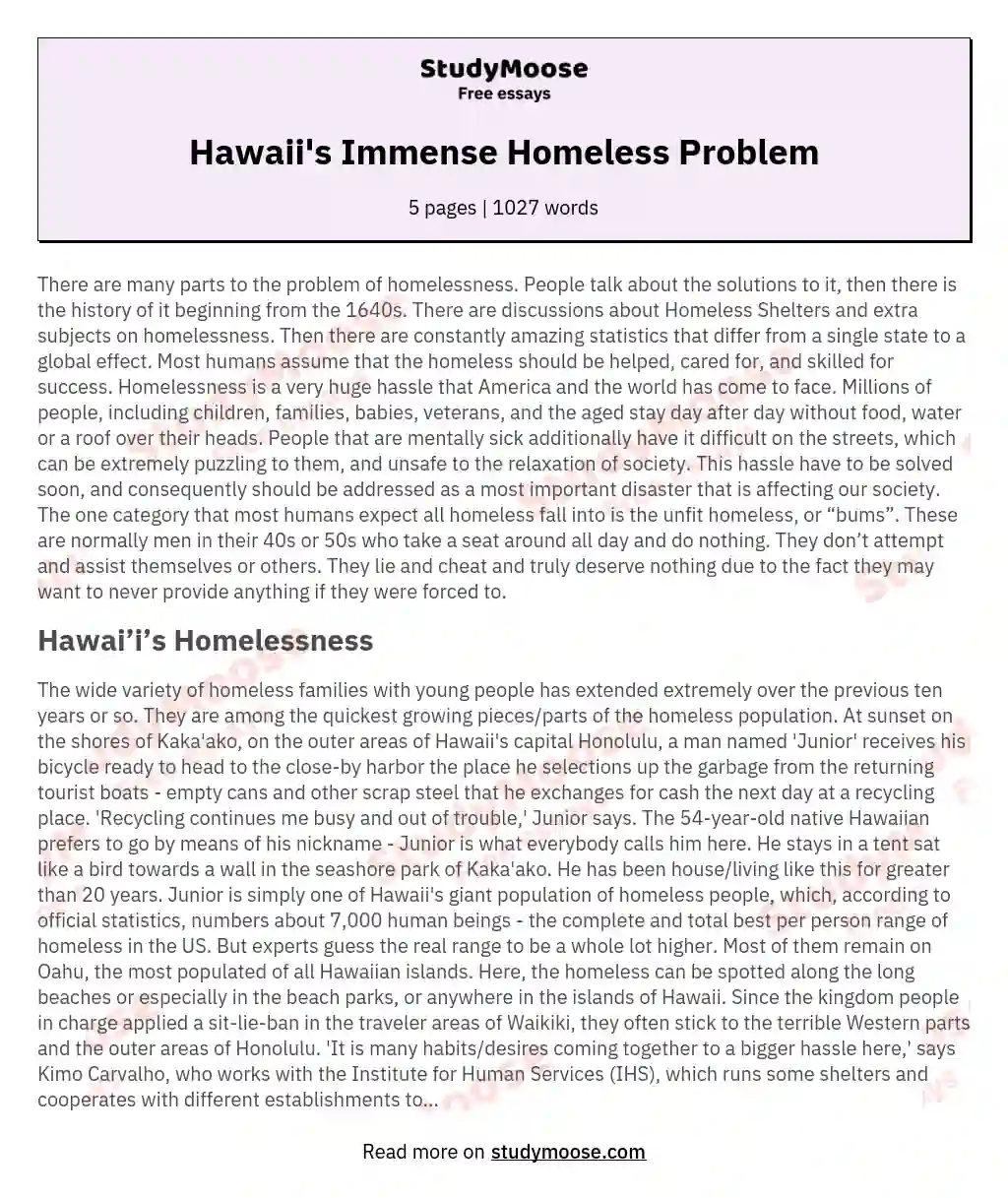 Hawaii's Immense Homeless Problem
