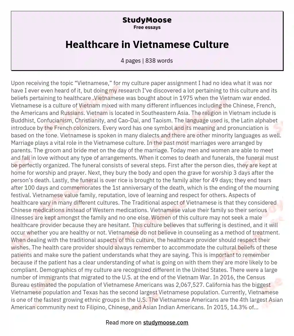 Healthcare in Vietnamese Culture essay
