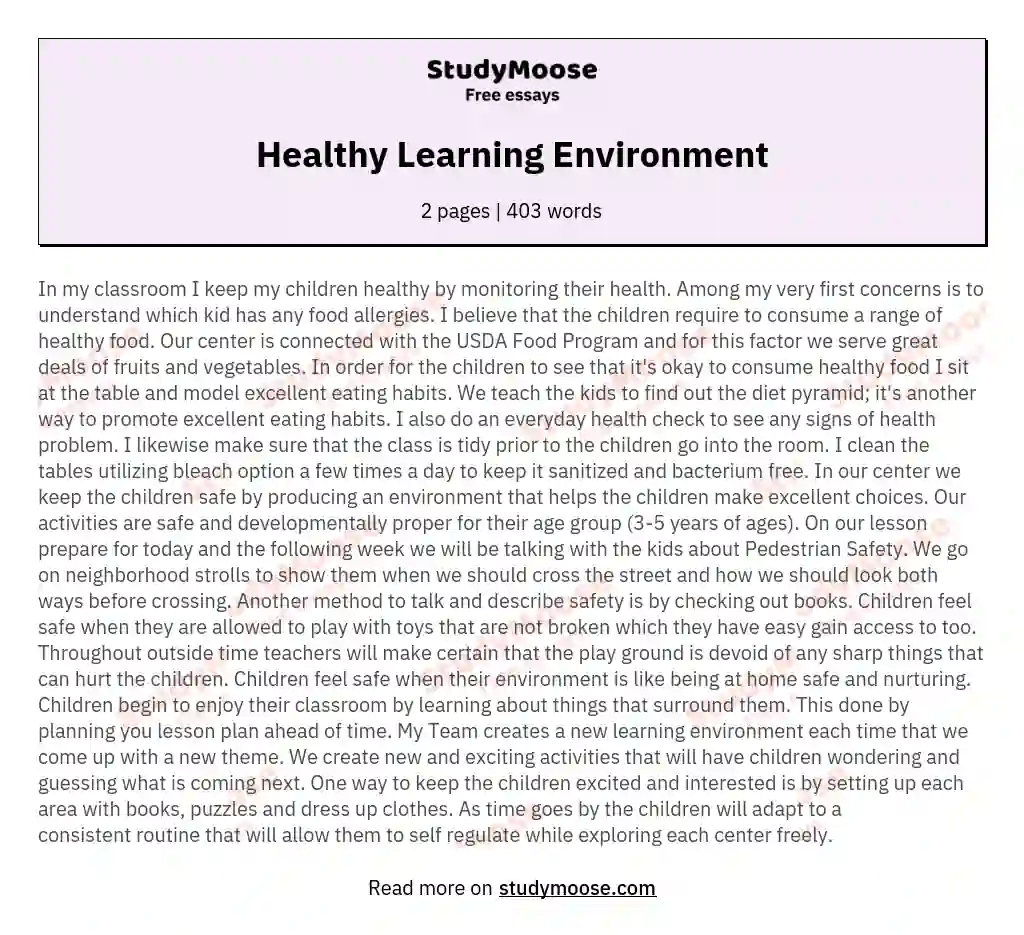 Healthy Learning Environment essay