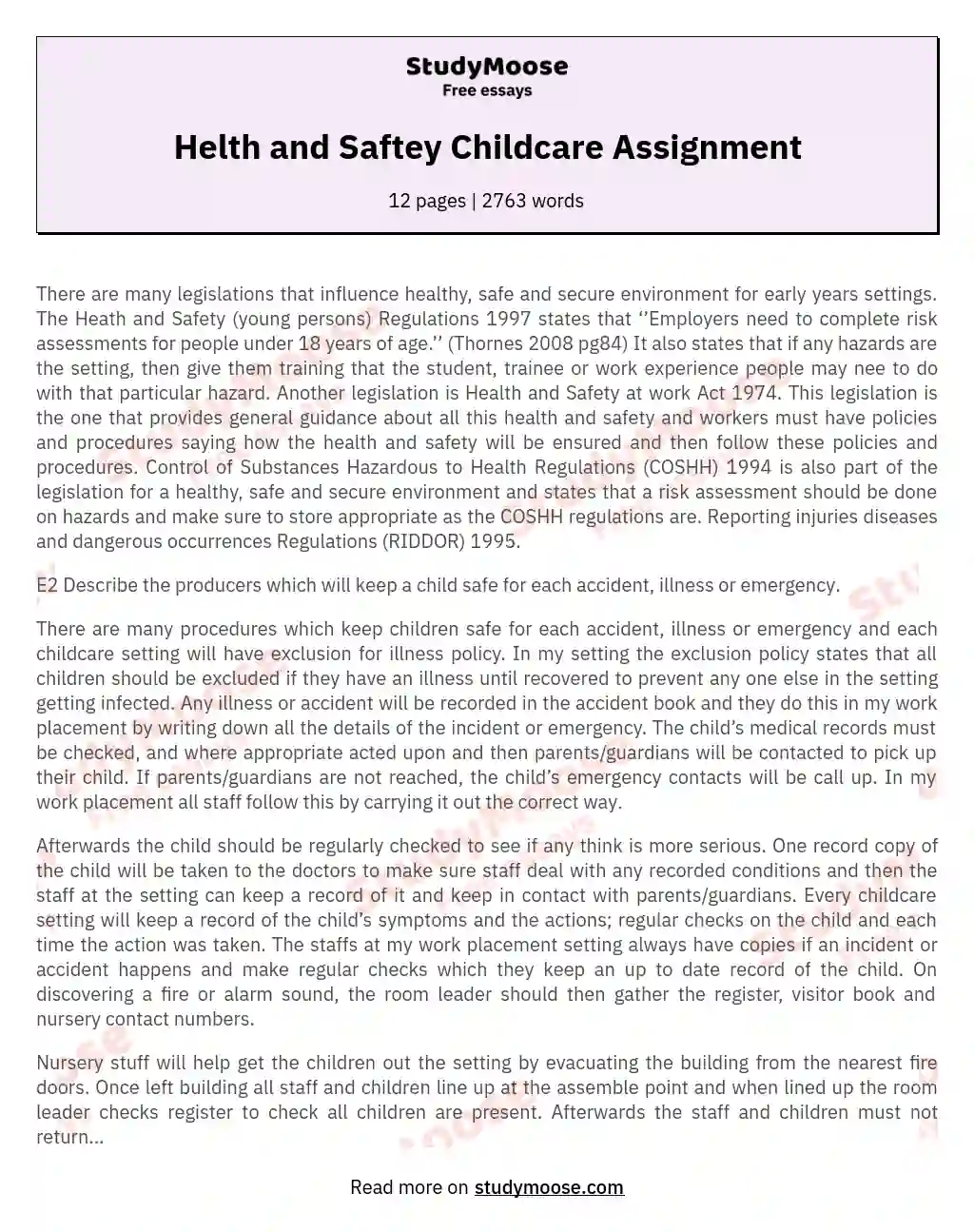 Helth and Saftey Childcare Assignment essay