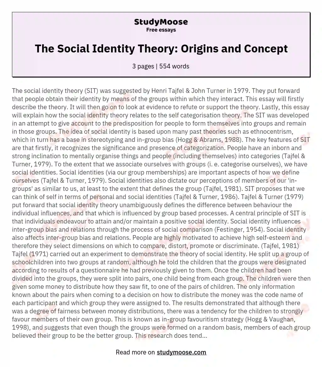 The Social Identity Theory: Origins and Concept essay