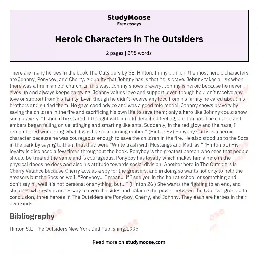 Heroic Characters in The Outsiders essay