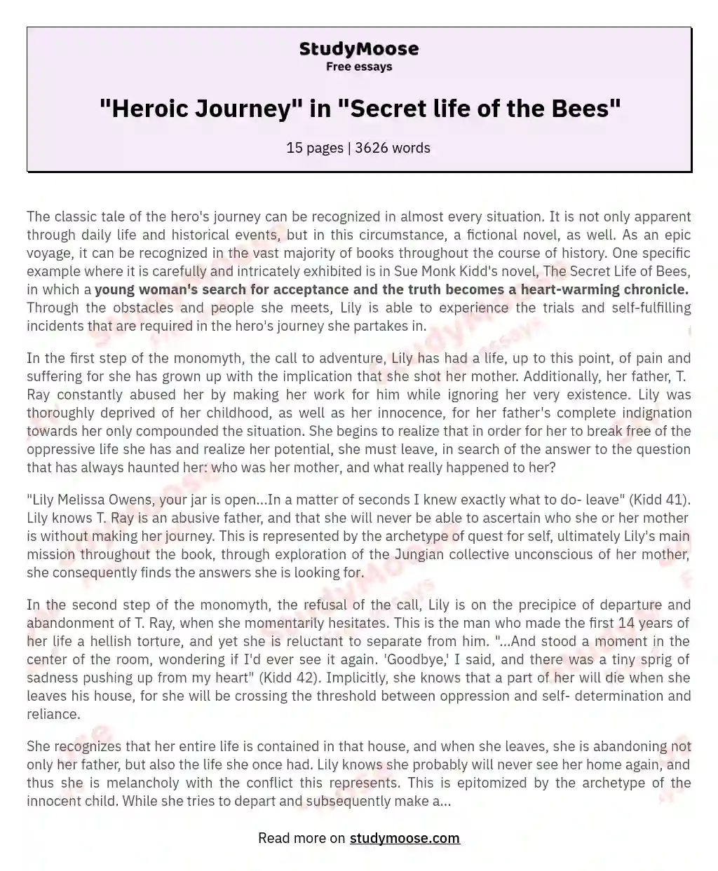 "Heroic Journey" in "Secret life of the Bees"