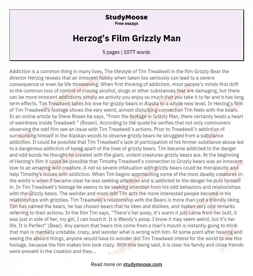 Herzog’s Film Grizzly Man essay
