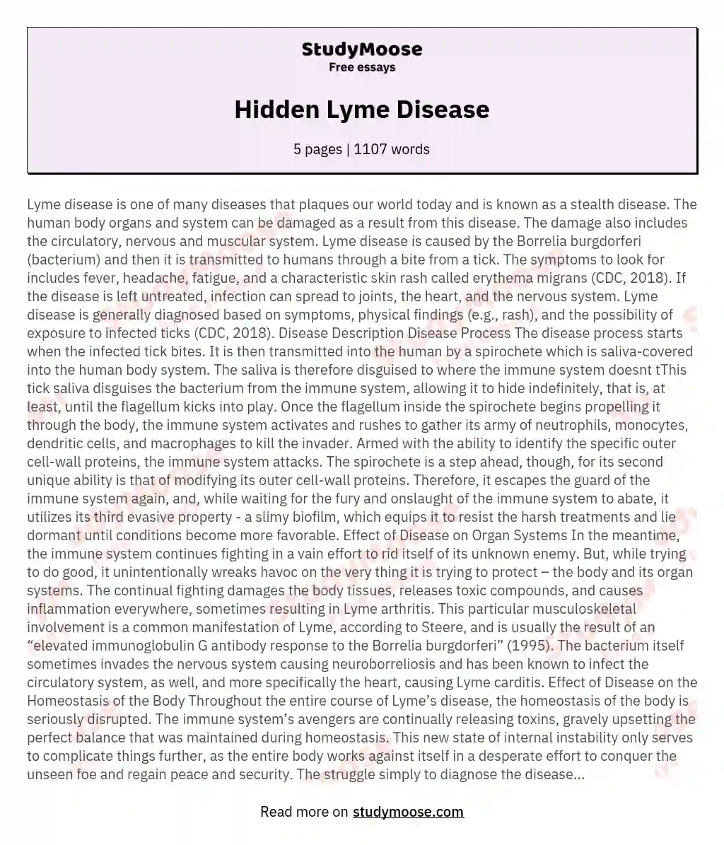 Hidden Lyme Disease essay