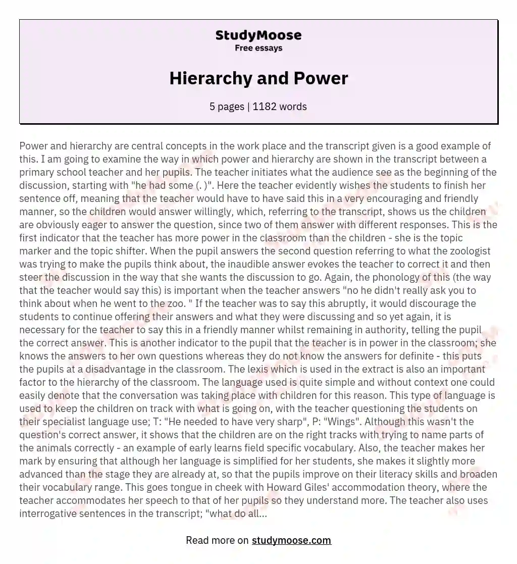 Hierarchy and Power essay