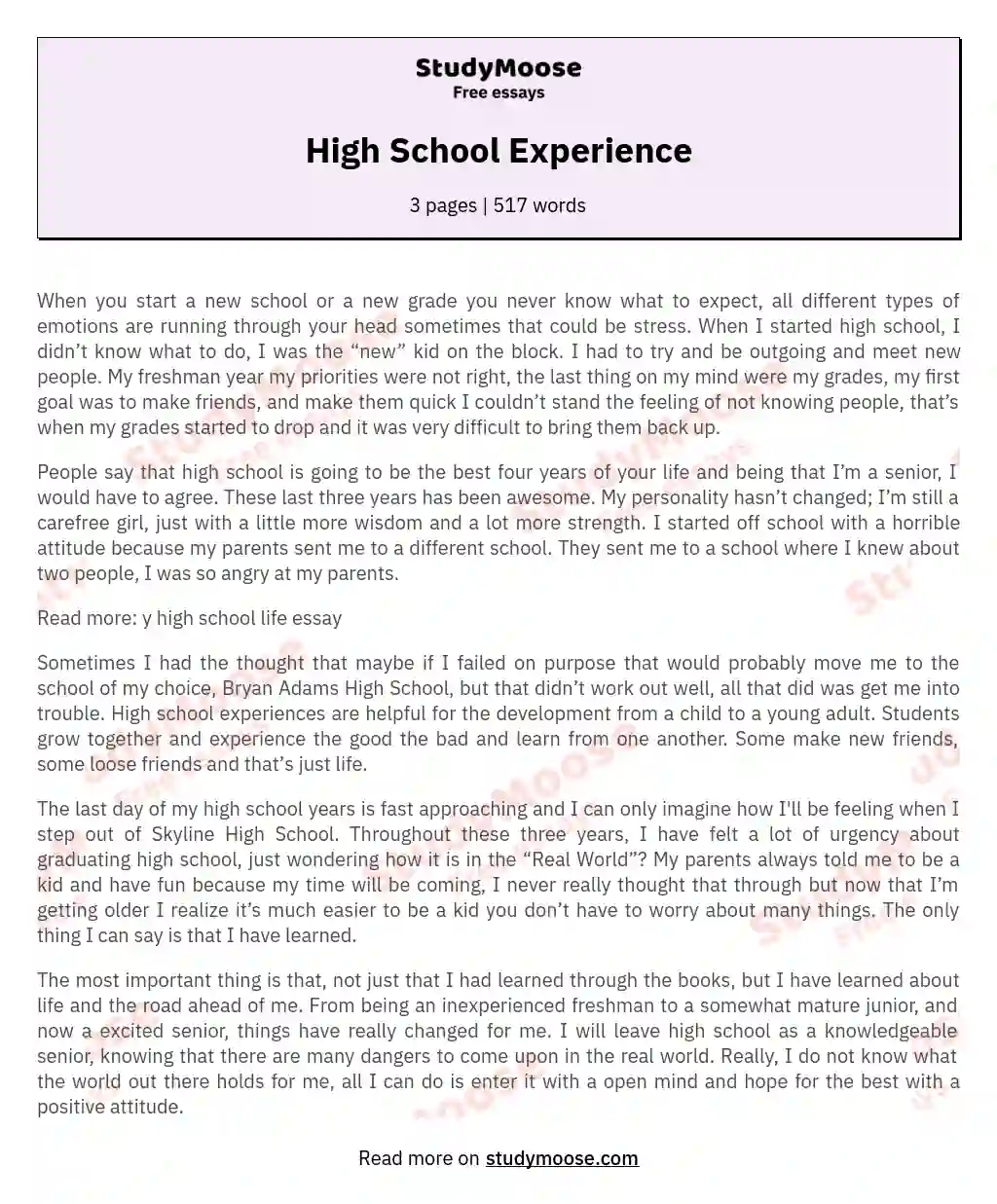 High School Experience essay