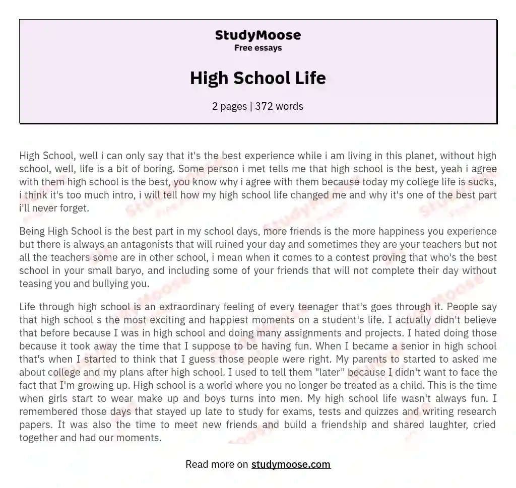 High School Life essay