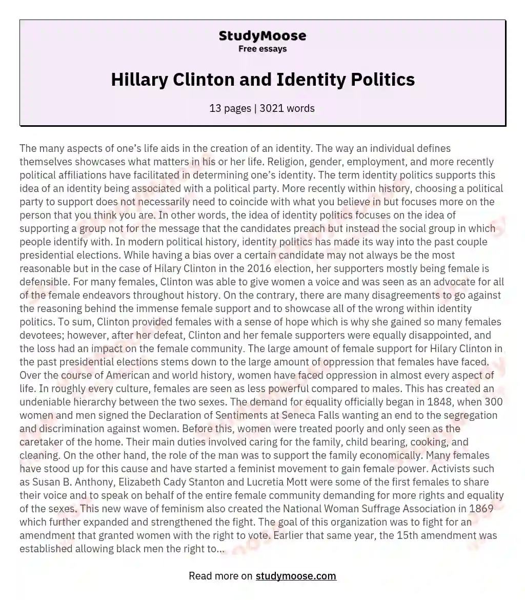 Hillary Clinton and Identity Politics essay